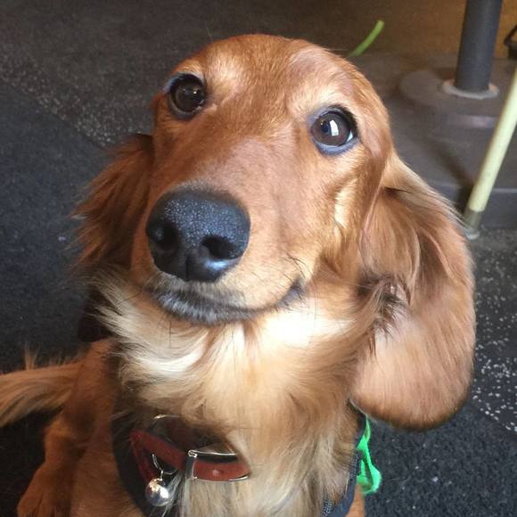 Meet your Posher, Robyn - Picture 1 of 1